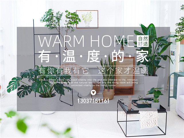 公司相關介紹